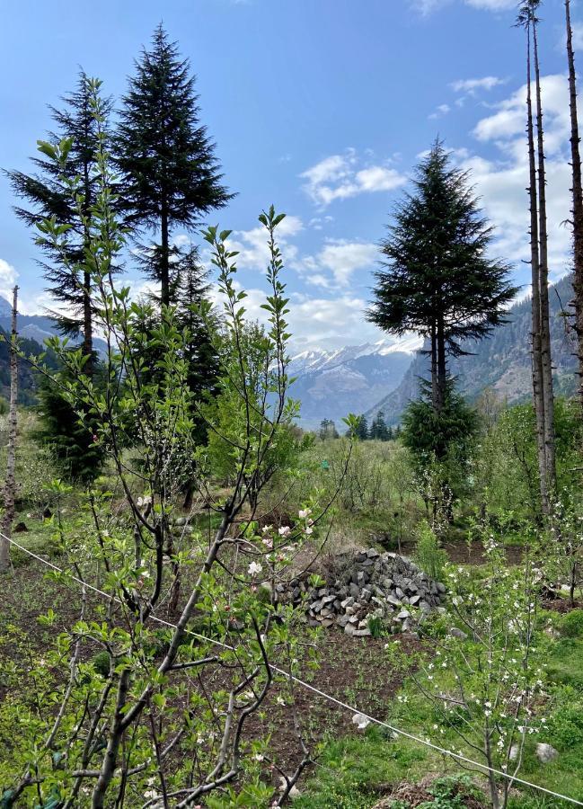 Getaway Stays Manali Ngoại thất bức ảnh